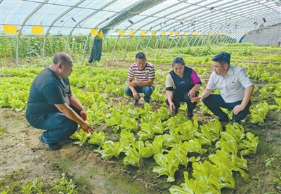 董效多： 当好乡村振兴的“领头雁”